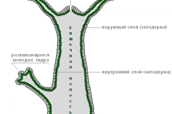 Кракен сайт официальный kraken014 com