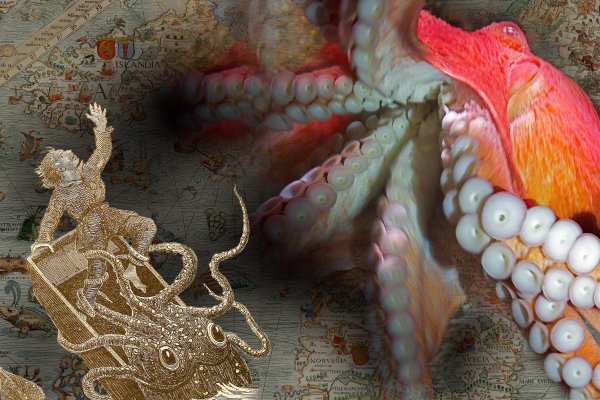Kraken ссылка зеркало рабочее
