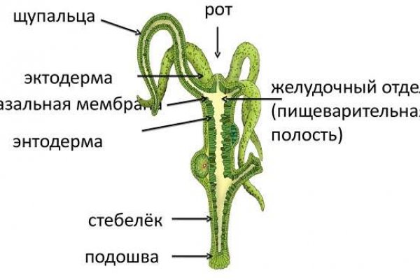 Кракен сайт официальный onion